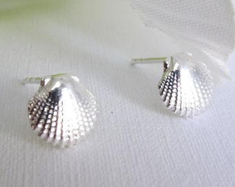 May include: A pair of silver seashell stud earrings. The earrings are small, with a detailed, textured surface. The earrings are displayed on a white surface, with a white flower in the background.