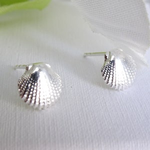May include: A pair of silver seashell stud earrings. The earrings have a detailed, textured surface. They are displayed on a white surface, with a white flower in the background.