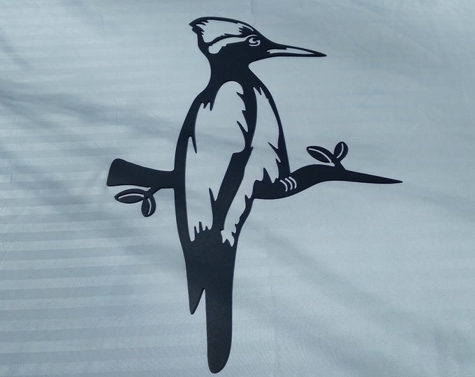 woodpecker in a tree
