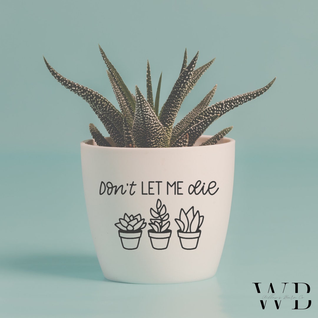 Punny Plant Decal, Don't Let Me Die, Pun Pots, Plant Pot Decal, Funny ...