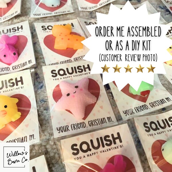 12 Squish Valentine Cards PRINTED Classroom Valentines Day Card Class School Non Candy Fidget Toy Girl Valentines Personalized DIY Assembled