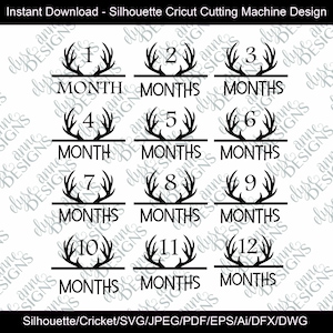 SVG / DFX Téléchargement instantané: Antler Theme Baby Monthly Photo - 12 Month set Infant Outfit - Silhouette / Cricut - First Year Milestone Set