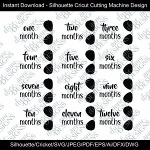 SVG / DFX Instant Download: Occhiali da sole Baby Monthly Photo - 12 Month set Infant Outfit - Silhouette / Cricut File - First Year Milestone Set
