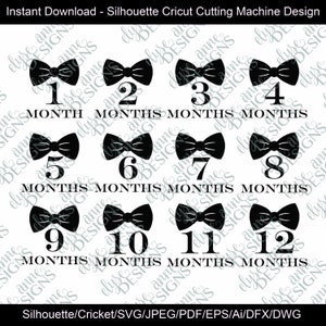 SVG / DFX Instant Download: Bowtie Theme Baby maandelijkse foto - 12 maanden set outfit - silhouet / Cricut - eerste jaar mijlpaal set