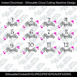 SVG/DFX Sofort Download: Herz Motiv Baby Monatsfoto - 12 Monate Set Outfit - Silhouette/Cricut - Erstes Jahr Meilenstein Set - Neugeborenes Mädchen