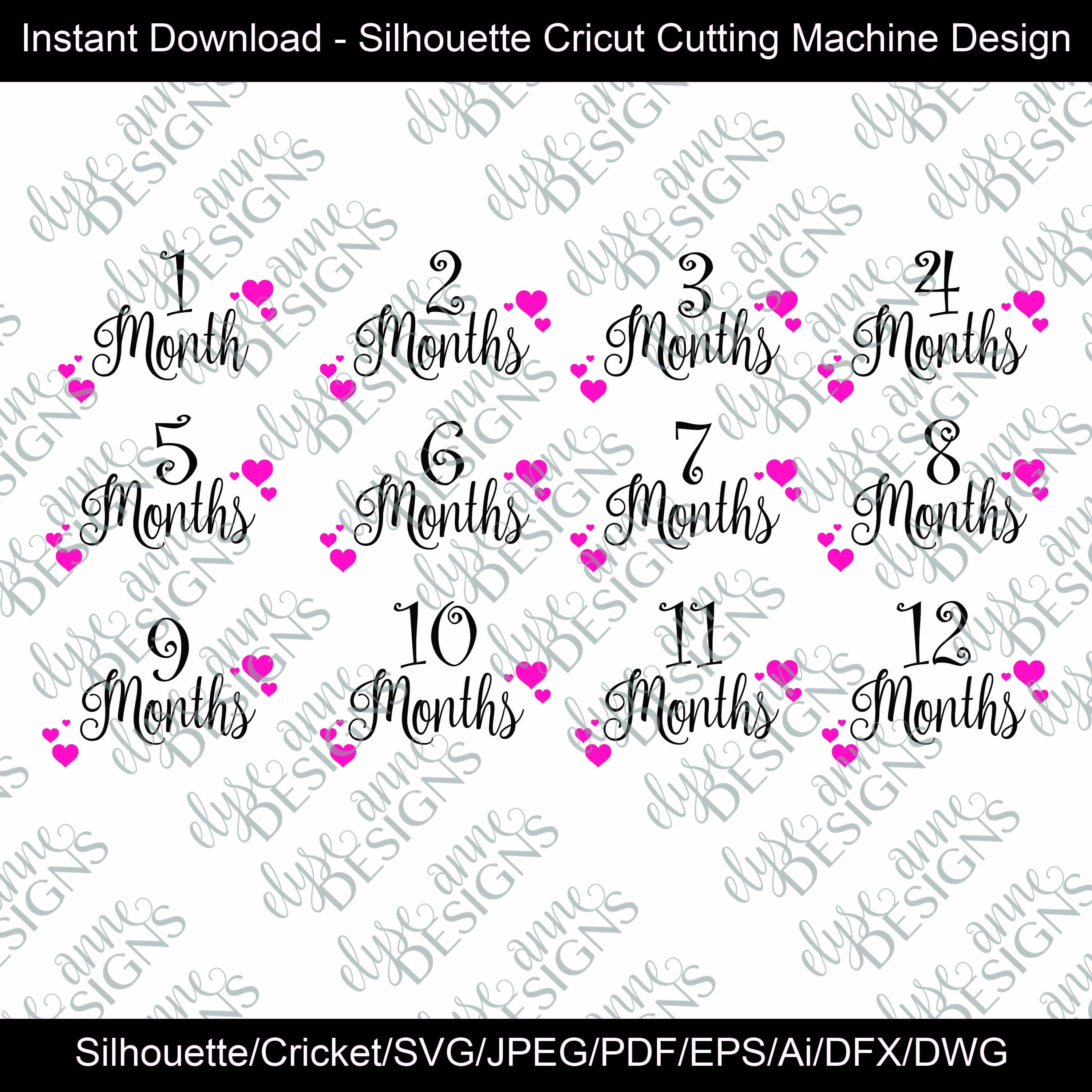 Download SVG/DFX Instant Download: Heart Theme Baby Monthly Photo ...
