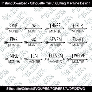 Download instantâneo SVG/DFX: Foto mensal do bebê com tema de seta - Conjunto de 12 meses - Silhueta/Arquivo Cricut - Conjunto de marcos do primeiro ano