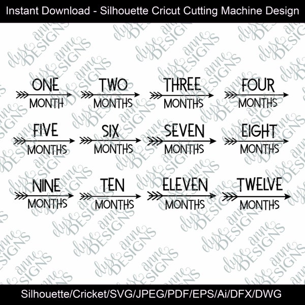 SVG/DFX Instant Download: Arrow Theme Baby Monthly Photo - 12 Month Set Outfit - Silhouette/Cricut  File - First Year Milestone Set