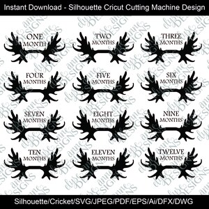 SVG / DFX Download istantaneo: Moose Antler Theme Baby Monthly Photo - 12 Month set Infant Outfit - Silhouette / Cricut - First Year Milestone Set
