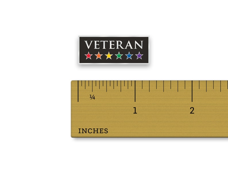 LGBT Veteran Pin Rainbow Veteran Pin Hard Enamel Pin LGBTQ Pride Pin image 7