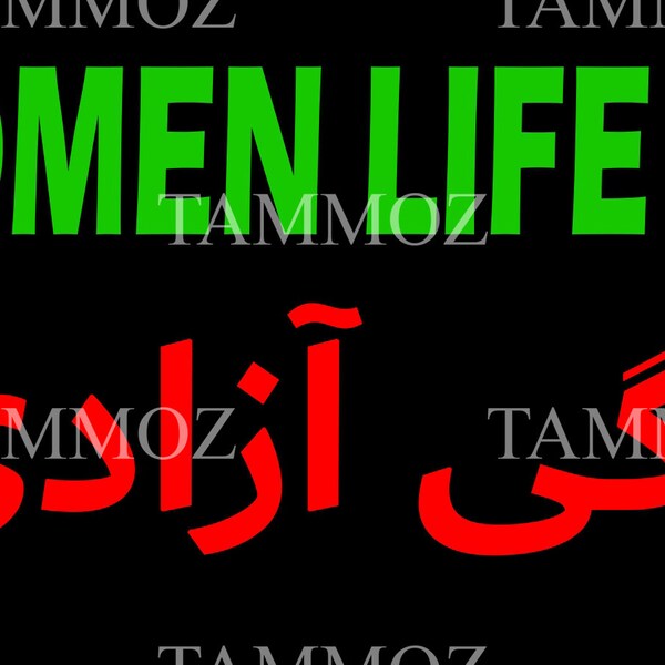 Women Life Freedom rise with the Women of Iran Sticker Vinyl Decal, Mahsa Amini Bumper Sticker Decal 10" x 3"