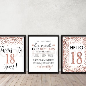 Juego de carteles para el 18.° cumpleaños, decoración para fiesta de cumpleaños de adultos, Hola 18, Saludos por los 18 años, Decoraciones en oro rosa, Feliz 18.° cumpleaños, 18.° aniversario