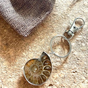 May include: A keyring featuring a polished, spiral-shaped ammonite fossil pendant encased in a silver-toned metal frame. The fossil displays natural amber and brown tones with visible chambered segments. It is attached to a circular split ring and a lobster claw clasp.