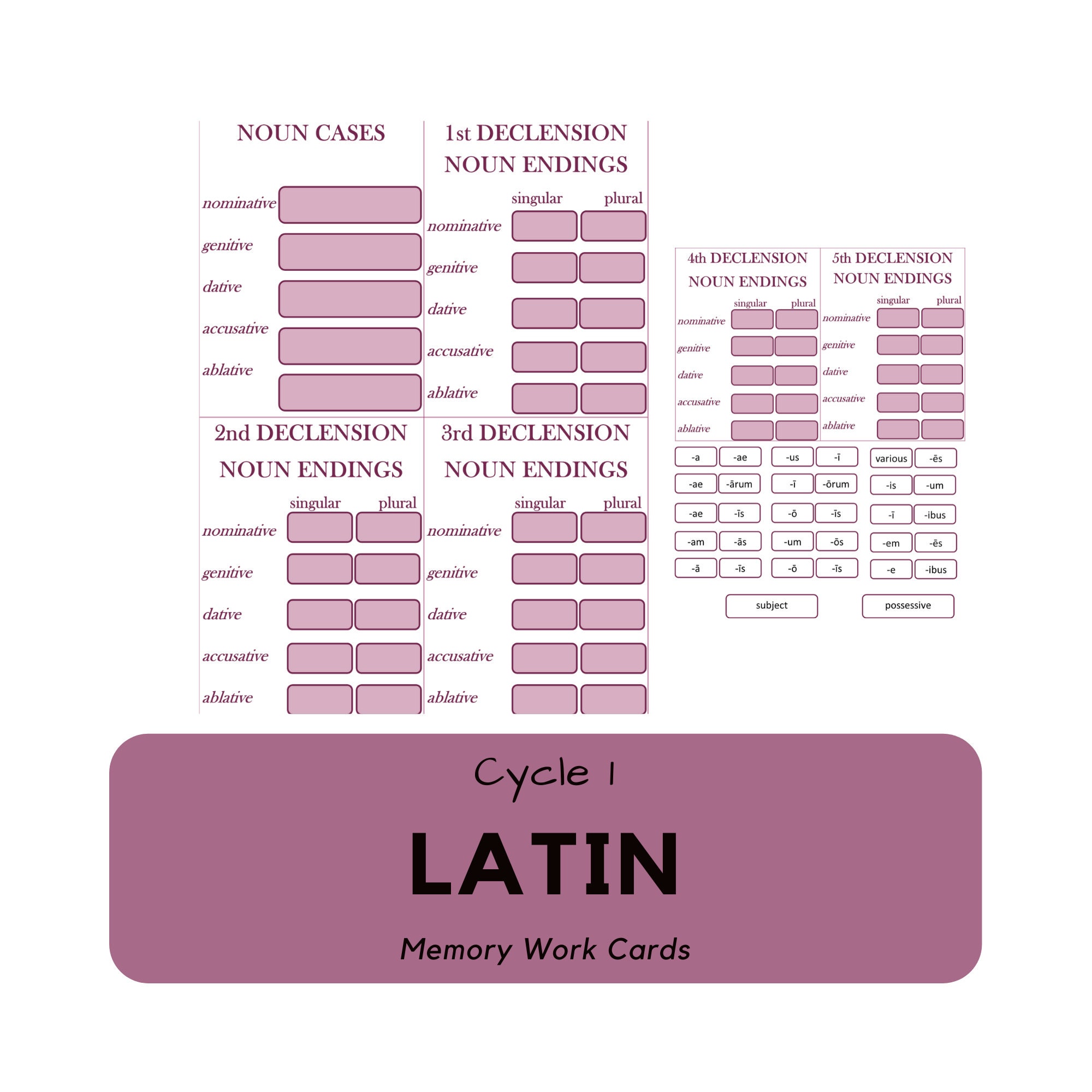Latin Noun Declension Memory Work Cards 1 - Etsy