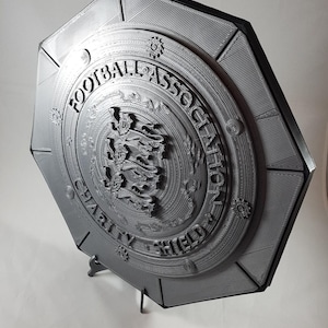 Könnte beinhalten: Graue, achteckige Plakette mit der Aufschrift "FOOTBALL ASSOCIATION CHARITY SHIELD" in kreisförmigem Design. Die Plakette hat ein erhabenes Emblem und wird von einem kleinen Ständer getragen.