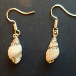 Earrings earrings ear hooks shell tower snail with silver - handmade