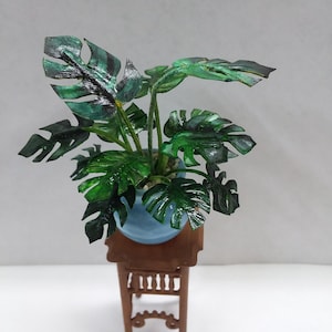 May include: A miniature potted plant with large, green leaves and a blue pot. The plant sits on a small, brown wooden table with decorative legs. The leaves have dark green and black accents.