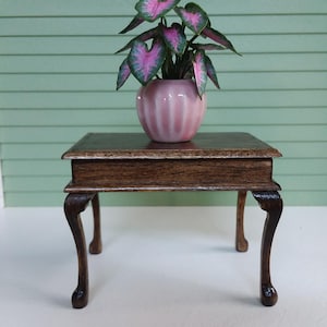 May include: Miniature Caladium plant with pink and green leaves in a pink ceramic pot. The pot sits on a small, dark wood table with curved legs. The background is a light green wall.