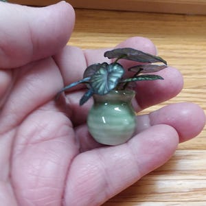 May include: A miniature potted plant featuring dark green, heart-shaped leaves with prominent veins, housed in a small, round, light green ceramic pot with a glossy finish. The plant is scaled to fit within the palm of a hand.