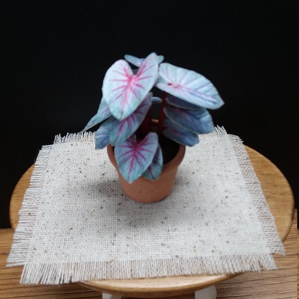 Dollhouse Miniature Houseplant, Miniature Caladium, White Queen Caladium, 1:12 Scale Plant