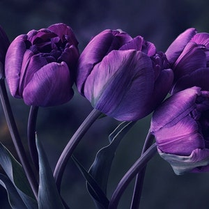Counted Cross Stitch Pattern &quot;Tulips&quot;