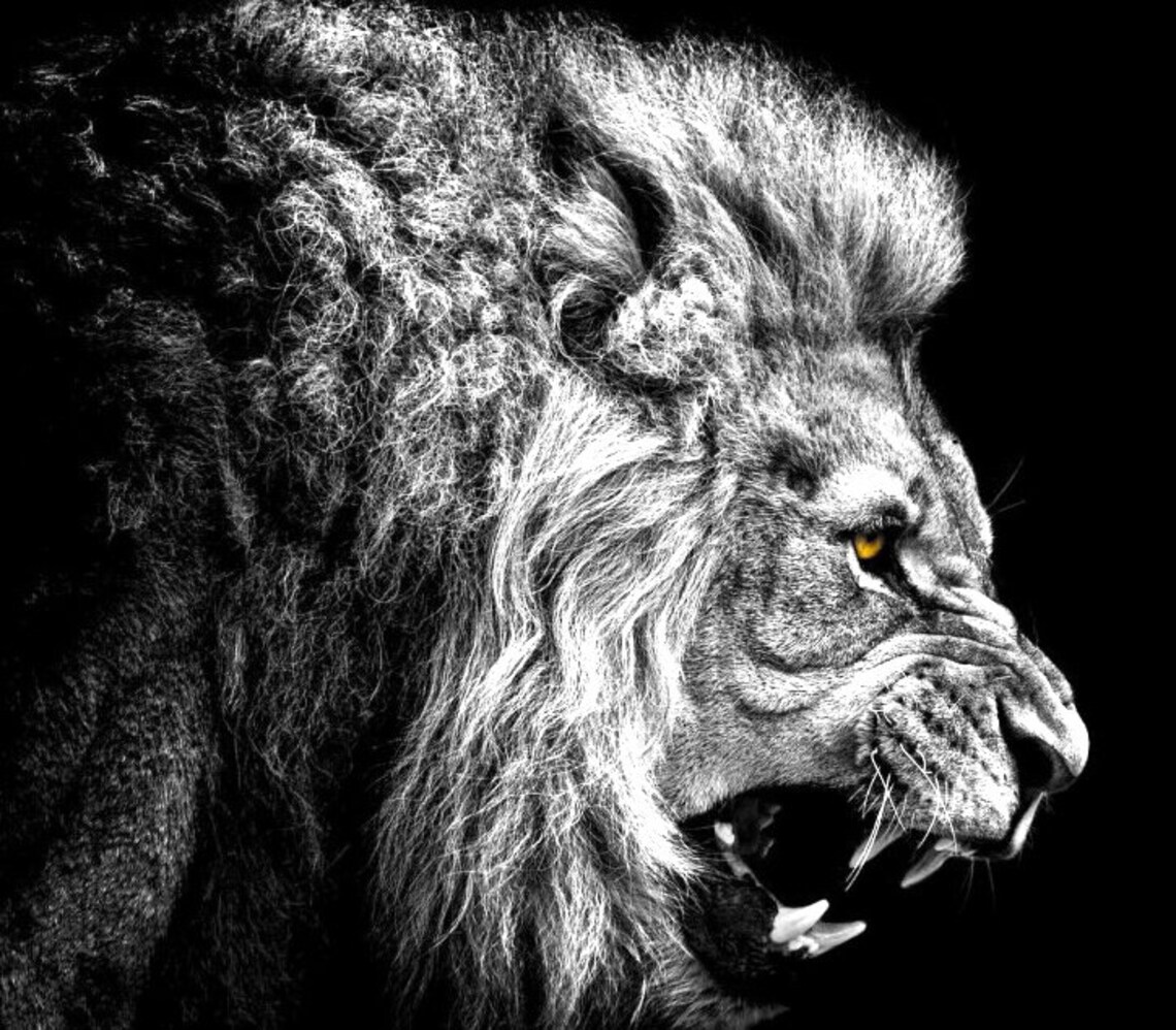 Counted Cross Stitch Pattern lion Etsy