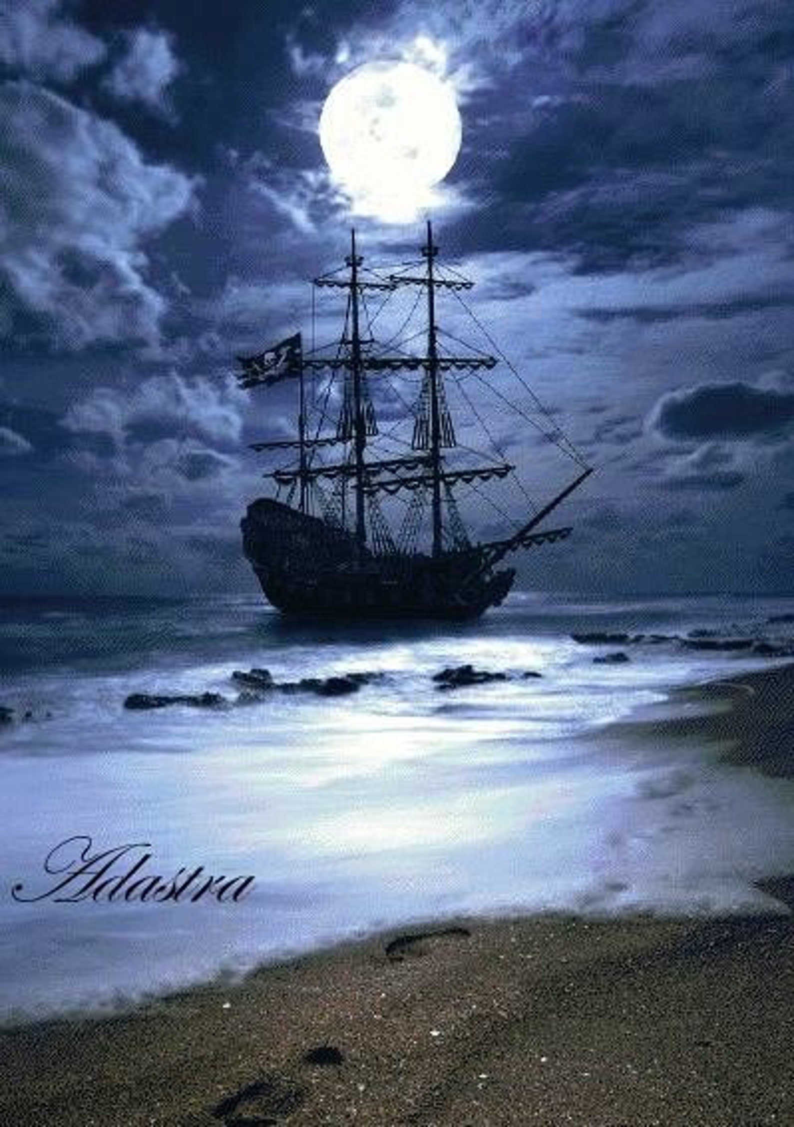 Counted Cross Stitch Pattern 