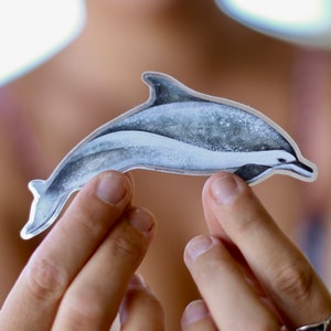 Delfin Sticker Gemalt in Hawaii von Danielle Burnside Art