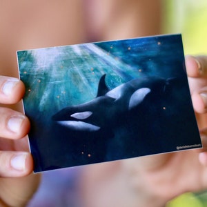 Orca Whale Sticker Painted in Hawaii by Danielle Burnside Art