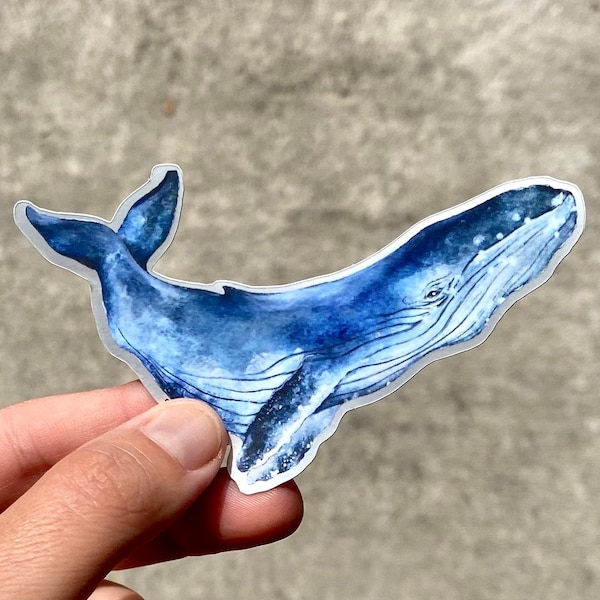 Humpback Whale Sticker - Painted in Hawaii by Danielle Burnside Art