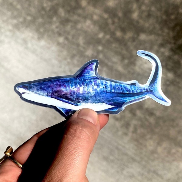 Tiger Shark Sticker - Manō - Painted in Hawaii by Danielle Burnside Art