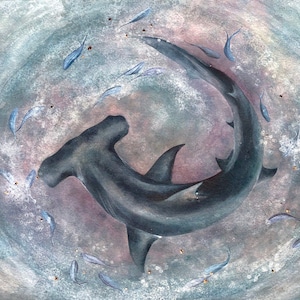 Hammerhead Shark Art Hand Painted in Hawaii