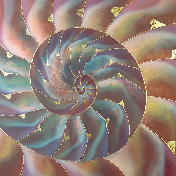 Espiral de Nautilus arcoiris