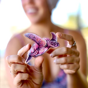 Turtle Sticker Painted in Hawaii by Danielle Burnside Art
