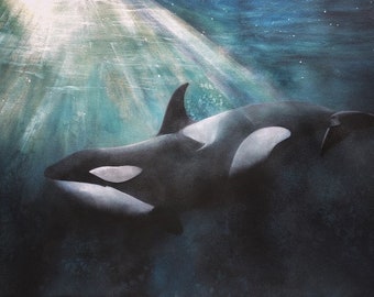 Orca - Killer Whale - Hand Painted