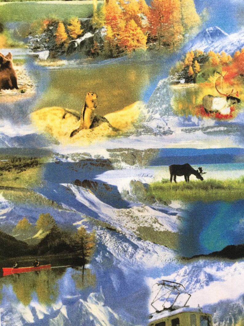 Mountain Adventure Train Fabric Bear Snow Moose Travel Backroads Experience RJR Nature Wildlife Alaska