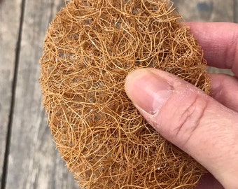 Organic Coconut Exfoliating Pad: Biodegradable Body Scrubber