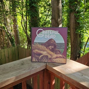 Vintage Grateful Dead Wake Of The Flood Record Vinyl