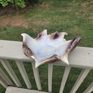 May include: A ceramic decorative bowl with a unique leaf-like shape. The bowl features a creamy white interior with brown accents and decorative swirls. The bowl is resting on a white wooden railing with a green grassy background.