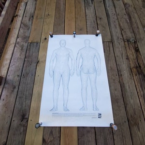 Peut inclure: Une affiche blanche avec deux dessins au trait du corps humain, l'un de face et l'autre de dos. Les dessins sont détaillés et montrent les muscles et les os du corps.