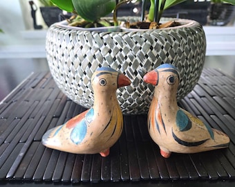 Tonala Mexican Birds