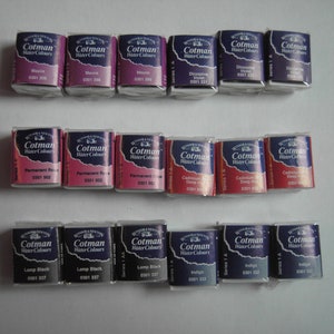 Cotman Winsor&Newton 18 Half Pan 1/2 Godet Acquerelli Watercolours