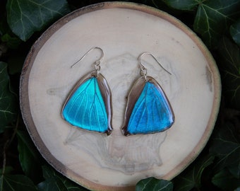 Aega Morpho Butterfly - dangle earrings, real butterfly wings, magic, fairy, handmade, lightweight, archival resin, ethically sourced