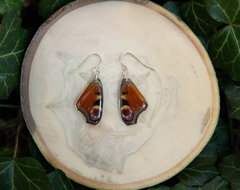 Peacock Butterfly - dangle earrings, real butterfly wings, magic, fairy, handmade, lightweight, archival resin, ethically sourced