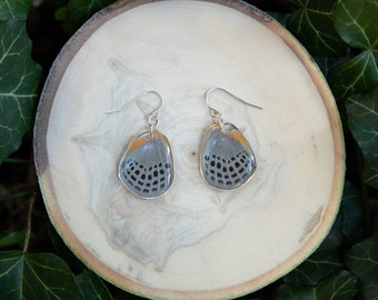 Dotted Glory Butterfly - dangle earrings, real butterfly wings, magic, fairy, handmade, lightweight, archival resin, ethically sourced
