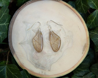 Real Butterfly Wing Dangle Earrings - Sterling Silver, Ethically Sourced