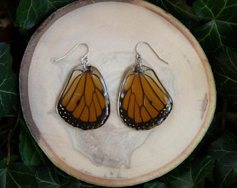 Real Monarch Butterfly Wing Earrings - Sterling Silver, Ethically Sourced