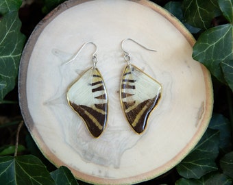 Five-Bar Swordtail Butterfly earrings