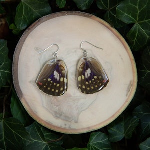 Great Purple Butterfly - dangle earrings, real butterfly wings, magic, fairy, handmade, lightweight, archival resin, ethically sourced
