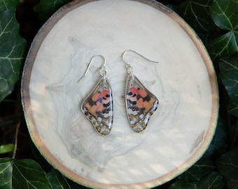 Painted Lady Butterfly Wing Earrings – Sterling Silver Dangle, Resin Coated